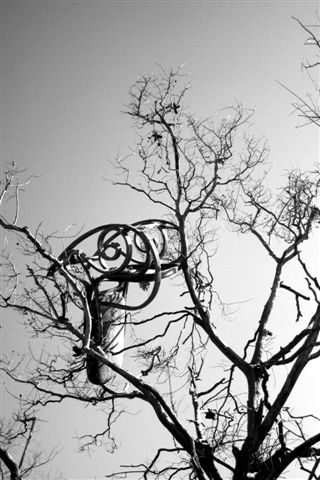 img_2494bw.jpg